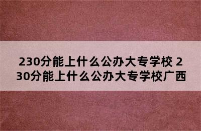 230分能上什么公办大专学校 230分能上什么公办大专学校广西